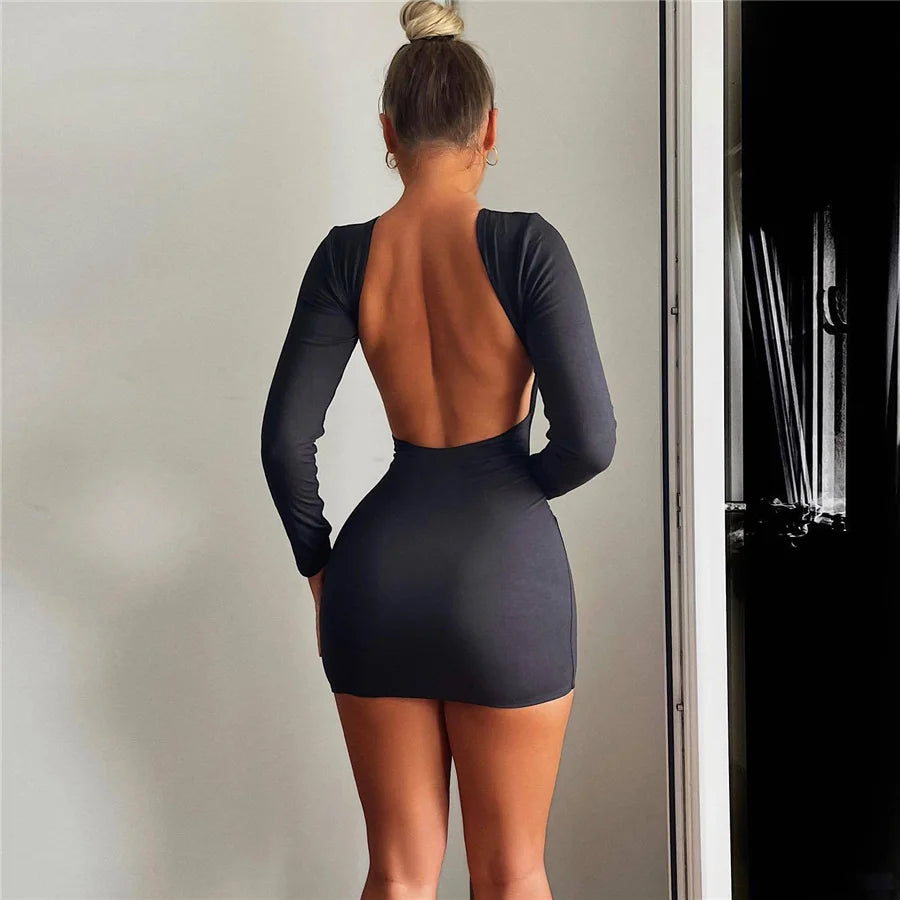 Long Sleeve Bodycon Dress - Verostyle